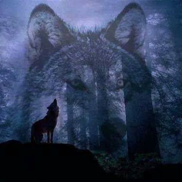 Meet your Posher, Juan - Picture 1 of 1